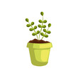 Green plant in flowerpot vector illustration. Cartoon drawing of potted flower isolated on white background. Gardening, farming, agriculture, spring concept