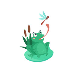 Wall Mural - comic frog catching dragonfly vector illustration. funny aquatic animal cartoon character sitting on