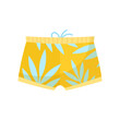 Male swimwear with tropical print vector illustration. Cartoon drawing of yellow shorts or underpants for men isolated on white background. Summer, fashion concept