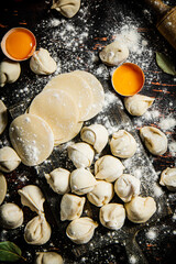 Sticker - Raw dumplings on a cutting board with egg and flour. 