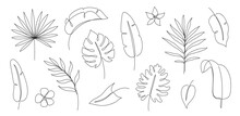 Outline Tropic Palm Leaf Set. One Continuous Line Art Tropic Tree Leaves. Editable Stroke Monstera, Jungle Foliage Floral Element. Isolated Vector Illustration