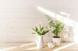 Home interior with Easter decor. Spring flowers in a vase, indoor plant on the background of a wooden white wall