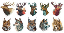 Set Of Wild Animals Portrait In Vintage Style, Like Elk, Deer, Lynx, Wolf