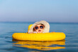 Cute little girl in ocean with swimming float, wearing sunglasses and sunhat. Children and summer season concept.