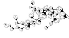 Floral Background, Floral Composition, Floral Background With Tender Flowers And Branches Of Buds. Hand Drawing. For Stylized Decor, Invitations, Postcards, Posters, Cards, Backgrounds, As Clipart