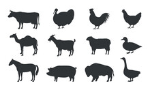 Farm Animals Silhouettes. Pig, Chicken, Cow, Lamb, Goat. Farm Animals Icons Isolated On White Background. Vector Livestock Icons. 