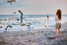 Rear View Of A Small Baby Girl Feeding The Seagulls On Evening Beach