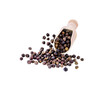 pepper corn in scoop  on  transparent png