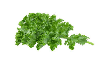 Wall Mural - Kale leaf salad vegetable isolated on  transparent png