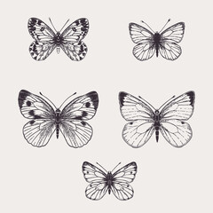 Poster - Set with white butterflies.