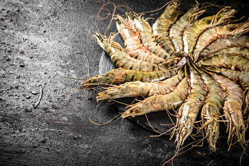 Wall Mural - Fresh raw shrimp on a round stone board. 