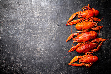 Poster - Delicious boiled crayfish on the table. 