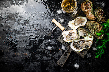 Canvas Print - Fresh oysters with greens. On a black background.