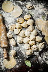 Sticker - Homemade dumplings on a cutting board with flour. 