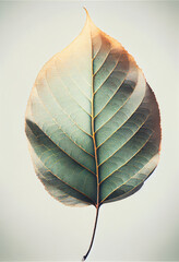 Aufkleber - Beautiful abstract leaf in neon light. Minimalism modern style concept. Background pattern for design
