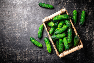 Canvas Print - Fresh cucumbers in a basket. 