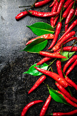 Sticker - Chili peppers with leaves. On a black background.