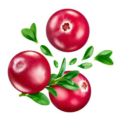 Sticker - Cranberry isolated on white background