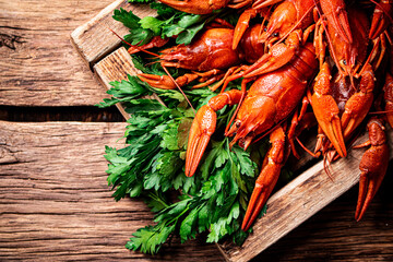 Wall Mural - Boiled crayfish with parsley on the tray. 