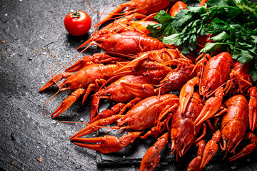 Poster - Boiled crayfish with parsley. On a black background.