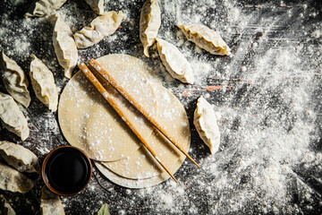 Canvas Print - Making homemade a gyoza dumplings. 