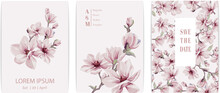 Wedding Invitation Or Greeting Card  With Magnolia Flowers Vector Elements. 