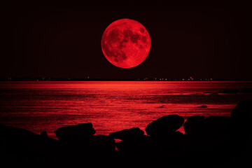 Wall Mural - full red moon over the sea