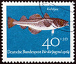 Postage stamp Germany 1964 Atlantic cod, gadus morhua, is a fish widely consumed by humans