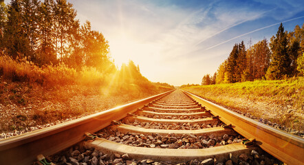 Wall Mural - perspective view of the railroad in countryside