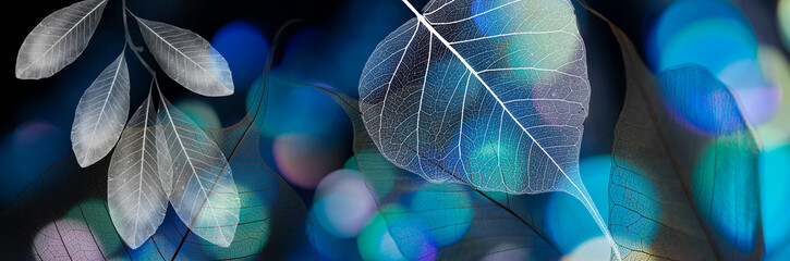 Wall Mural - leaf texture, leaf with veins and cells and light bokeh