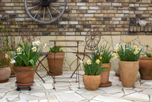  Clay Pots With Spring Flowers