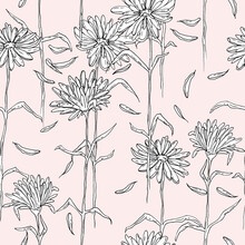 Black And White Chamomile Or Daisy Flowers - Seamless Pattern On Light Pink Color Background
