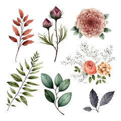 Wall Mural - Set of floral elements. Flower and green leaves. Wedding concept - flowers. Floral poster, invite. Vector arrangements for greeting card or invitation design