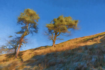 Digital painting of two trees at Goyt valley in the Peak District National Park.