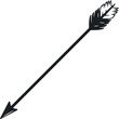 © Casoalfonso - Monochrome arrow with plumage for nature sport and camping