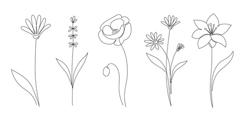 Aufkleber - Flower set continuous outline style. Decoration flower, botanical floral element, blossom one line art for wedding, spring concept background. Vector illustration