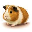  a brown and white guinea pig sitting on top of a white floor next to a white wall and a black and white wall with a black stripe on the top of the guinea pig's face.  generative ai