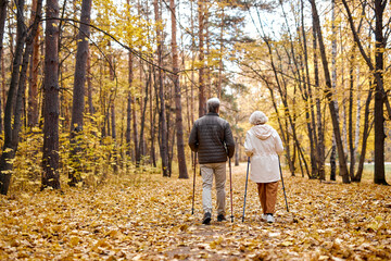 Rear view on elderly couple in love engaged in Nordic walking going in autumn nature park, forest. Concept of active elderly people during retirement. Everyday joy lifestyle without age limitation.