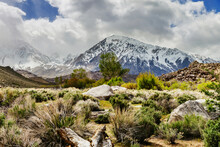 Scenery With Desert And Mountains Of Sierra Nevada From The Buttermilks, Bishop, California, USA