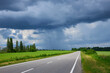 © Ryzhkov Oleksandr - asphalt road panorama in countryside on summer day