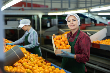 Smiling young female worker in fruit sorting and packing warehouse holding small wooden box of sorted ripe mandarins