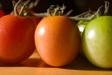 A Row Of Small Colorful Tomatoes At Different Stages Of Ripeness.