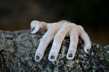 A Climber's Hand Appears At The Edge Of A Precipice During A Bouldering Session At Indian Rock In Berkeley, CA.