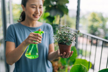 Happy House Wife With Spray Taking Care Of Plants At Her Home