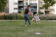 Woman Teaching Dog To Catch Frisbee
