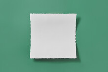 White Paper Sheet On Green Background.