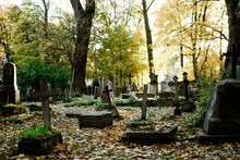 Spooky Cemetery In Forest
