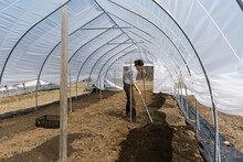 Flower Farmer Preparing Rows In Spring Time For Planting In Greenhouse