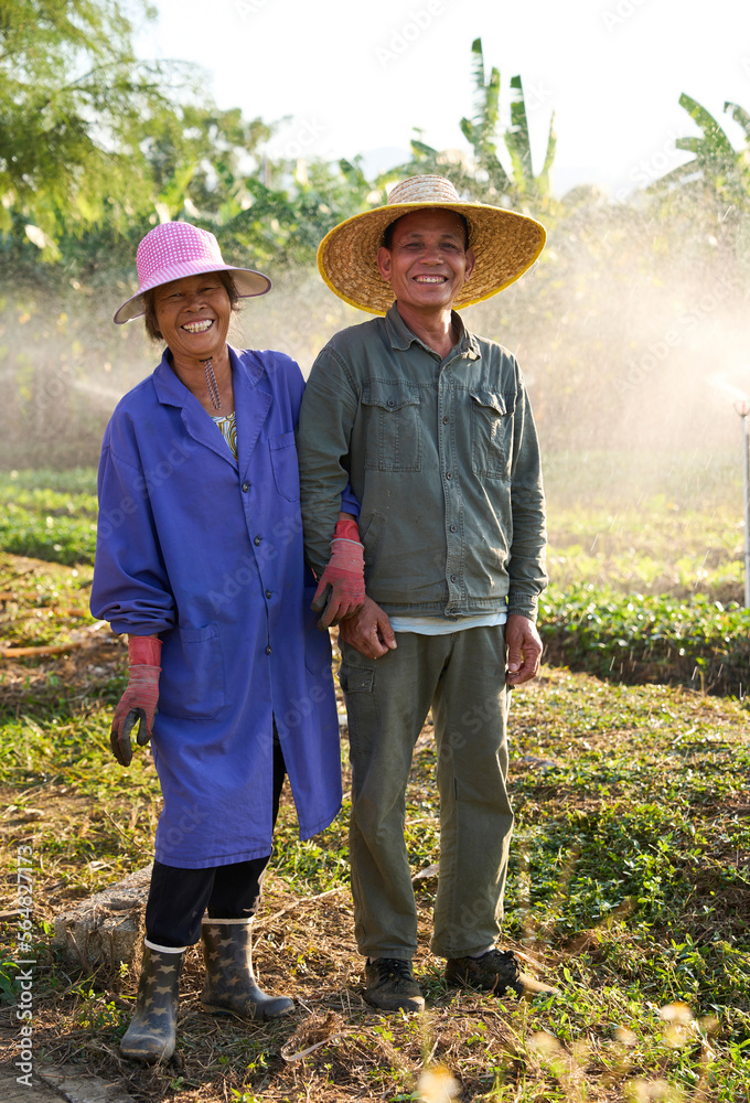 Asian farmer couple standing in front of vegetable field Stock Photo ...