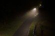 © Dave Wall/Stocksy - A path at night